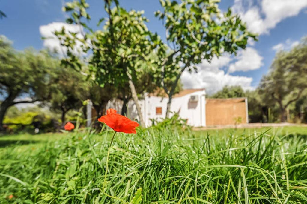 Charming Hideaway Self Check-in - Accesso Autonomo Alghero